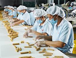 趣园食品—饼干生产线
